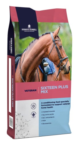Dodson & Horrell Sixteen Plus Mix 20kg - pasz dla koni starszych