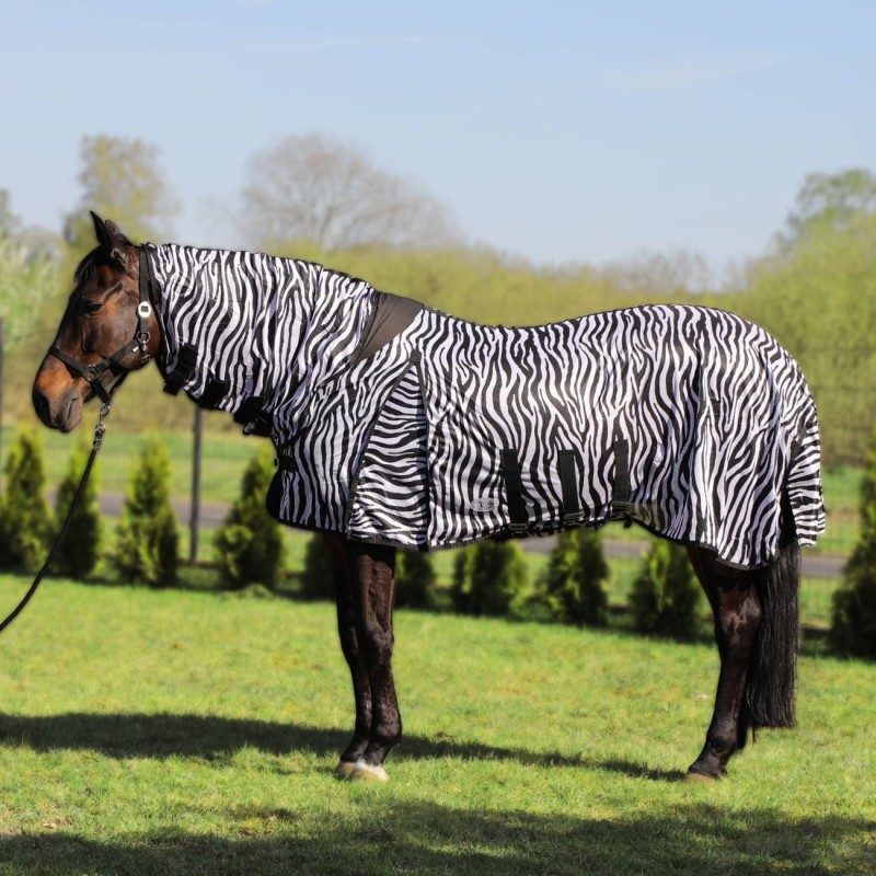 pol_pl_Derka-York-siatkowa-z-kapturem-Zebra-9930_1.jpg