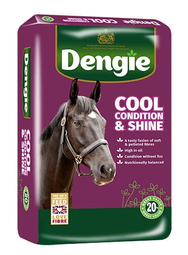 dengie-cool-condition-shine-20-kg-sieczka-dla-koni-wspierajaca-przyrost-masy-miesniowej.jpg