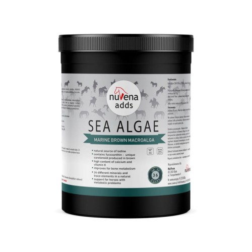 NuVena - Sea Algae (Ascophyllum nodosum) - Algi dla koni