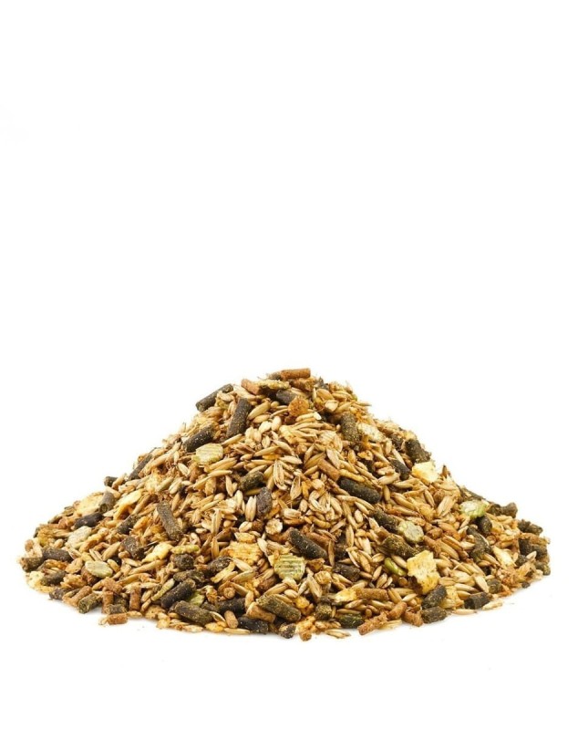 saracen-competition-fit-mix-20kg-wysokoenergetyczna-pasza-dla-koni (2).jpg