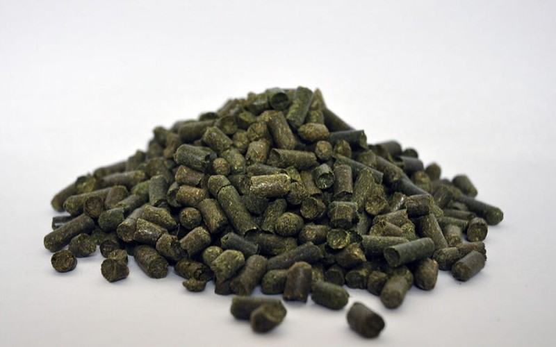 dengie-grass-pellets-20kg-trawokulki-dla-koni (1).jpg