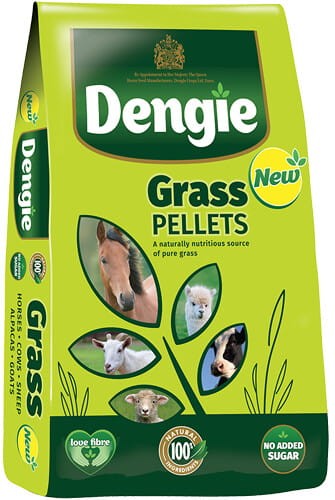 Dengie Grass Pellets 20kg - trawokulki dla koni