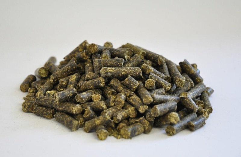 dengie-alfa-beet-20kg-pasza-dla-koni-zawierajaca-wyslodki (1).jpg