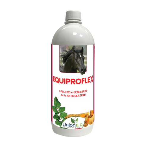 Equiproflex Union Bio na stawy 1000ml