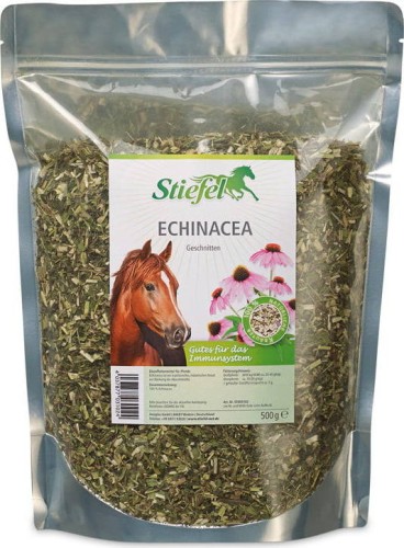 Echinacea Stiefel jeżówka 500g