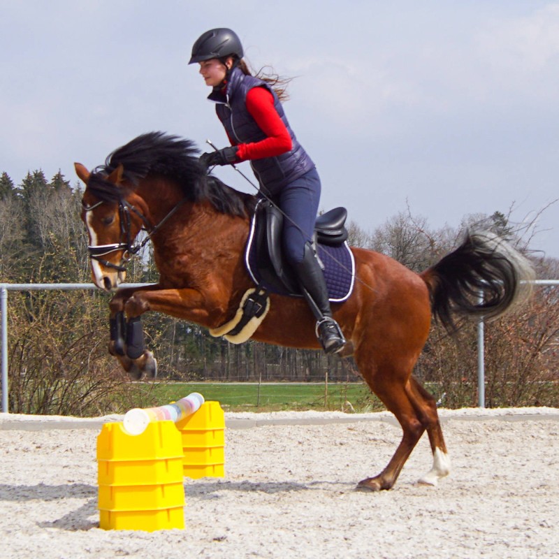 Podstawka pod cavaletti