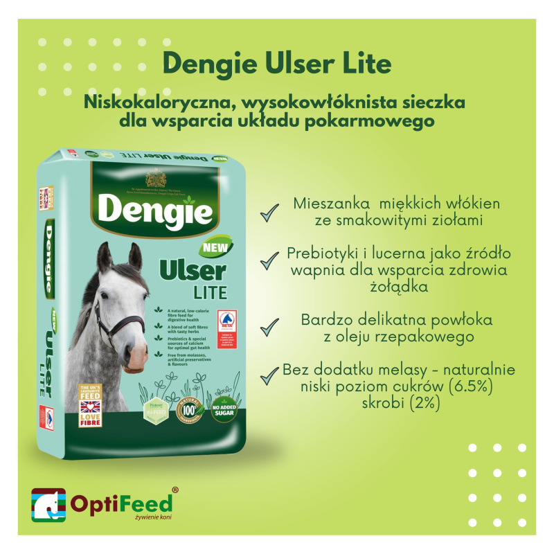 Ulser_2.1.png