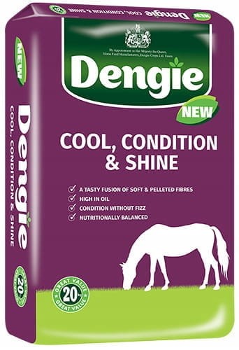 Dengie Cool Condition & Shine 20 kg - sieczka dla koni wspierająca przyrost masy mięśniowej WYSYŁKA 24H