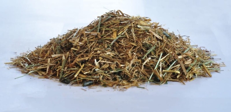 Dengie Cool Condition &amp; Shine 20 kg - sieczka dla koni wspierająca przyrost masy mięśniowej WYSYŁKA 24H