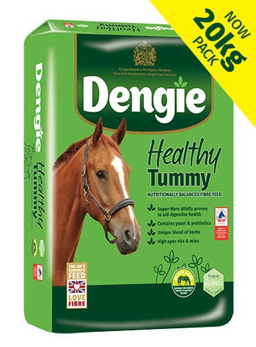dengie-healthy-tummy-20kg-sieczka-dla-koni-w-grupie-ryzyka-choroby-wrzodowej.jpg