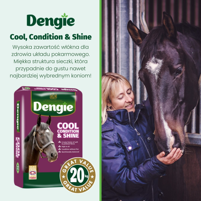 cool condition&amp;shine_2.png