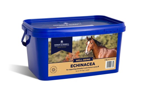 Dodson & Horrell Echinacea 1kg - suplement dla koni z Echinacea