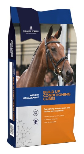 Dodson & Horrell Build Up Cubes 20kg - pasza dla koni wspierająca przyrost masy mieśniowej