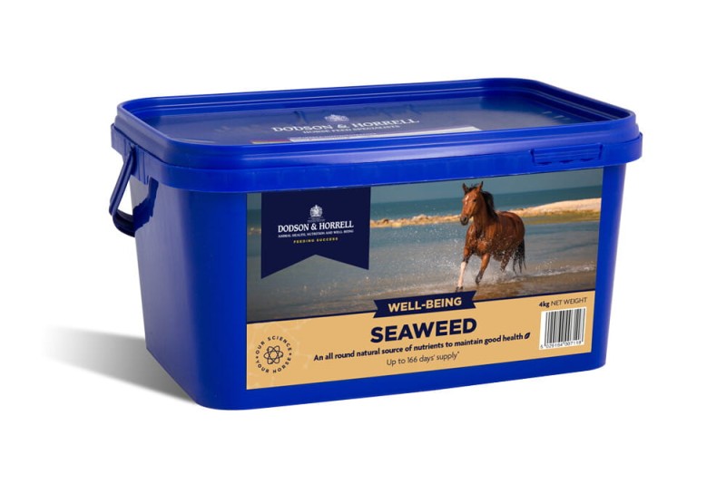 dodson-horrell-seaweed-2kg-suplement-dla-koni-z-algami-morskimi.jpg