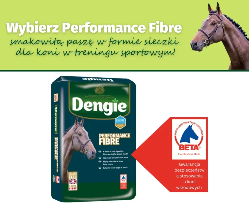 Performance Fibre_BETA EGUS 2.webp