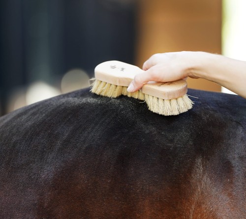 Szczotka do kurzu i błota, Super Shine Lullalove