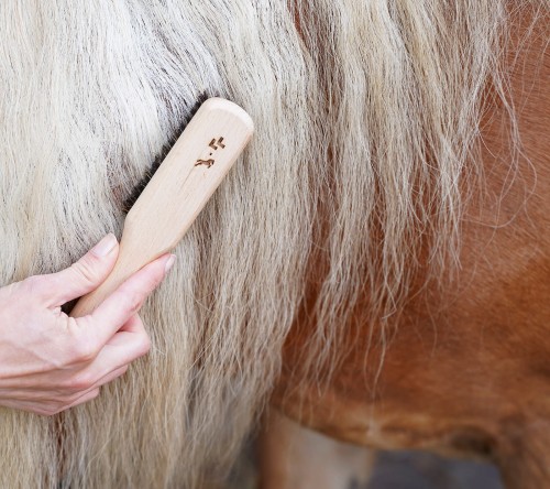 Szczotka do pielęgnacji grzywy i ogona konia, Super Shine Lullalove