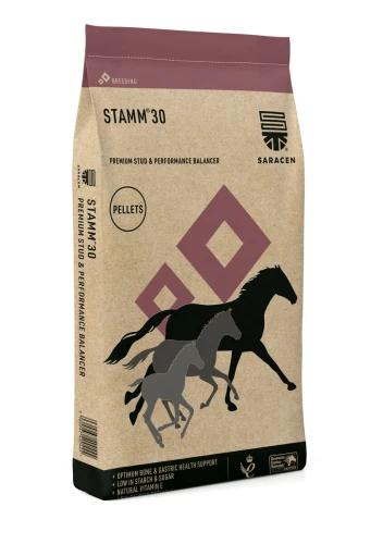 SARACEN Stamm 30 Concentrate 20kg - pasza dla koni wyczynowych i hodowlanych - koncentrat