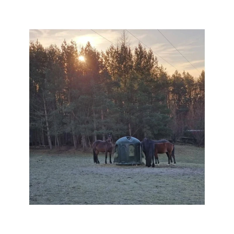Oliwkowy-pasnik-dzwonowy-HB100--estetyczne-i-trwale-wyposazenie-padoku-odporne-na-UV.webp