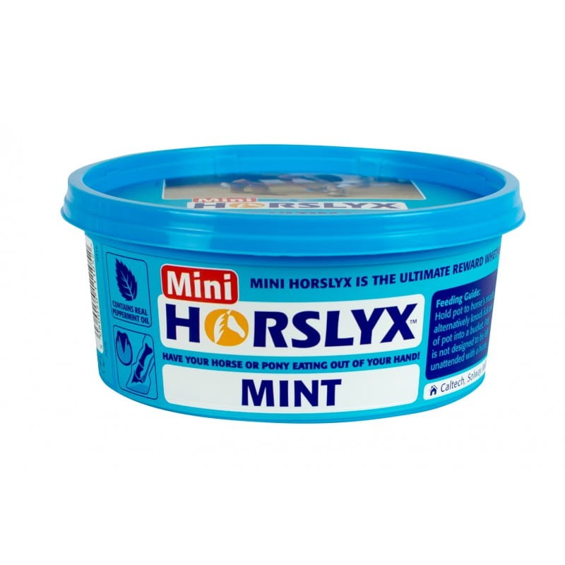 horslyx-mint-turquise.jpg