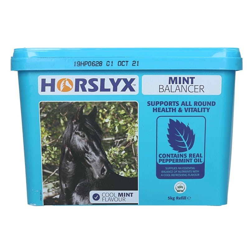 horslyx-mint-turquise.jpg
