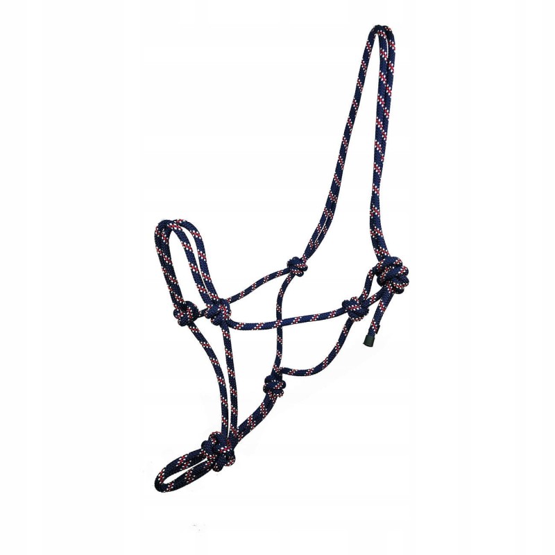 ccd61b4e726f9f27a9a313676e00fcdd