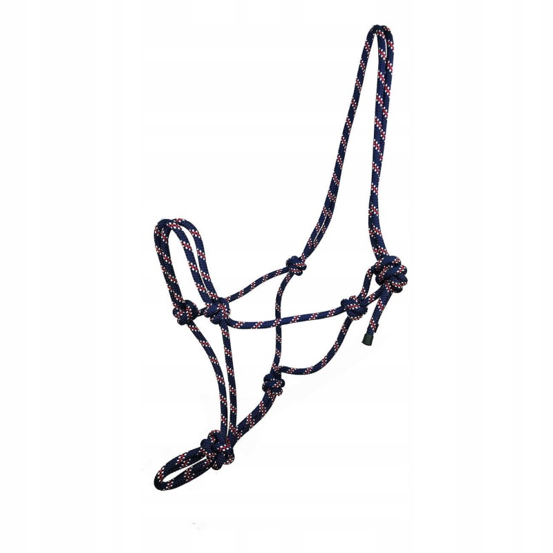 538ac5e5a5cfe68d69e50507c1446928