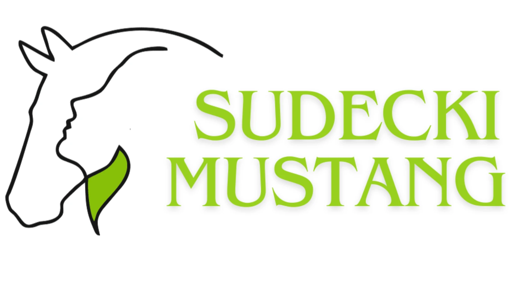 Sudecki Mustang Sklep Jeździecki