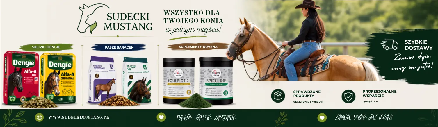 Sudecki Mustang Sudecki Mustang Sklep Jeździecki