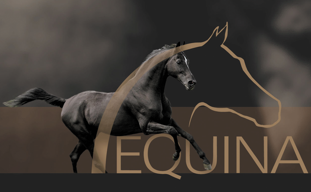 Equina